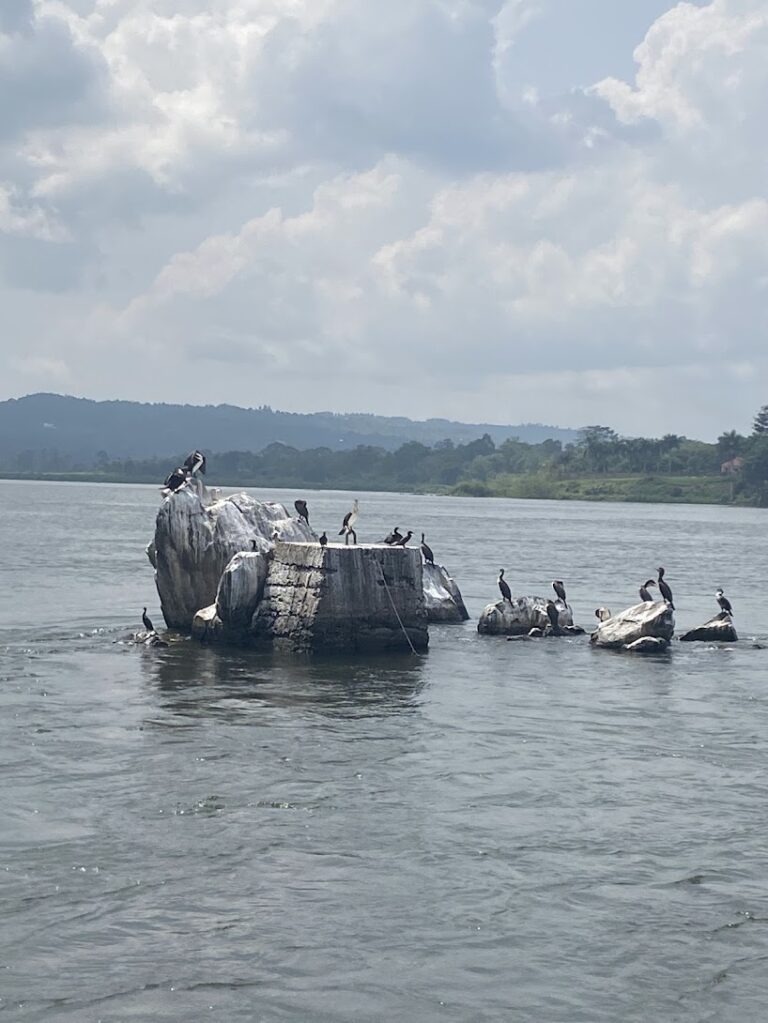 0m of the Nile River
