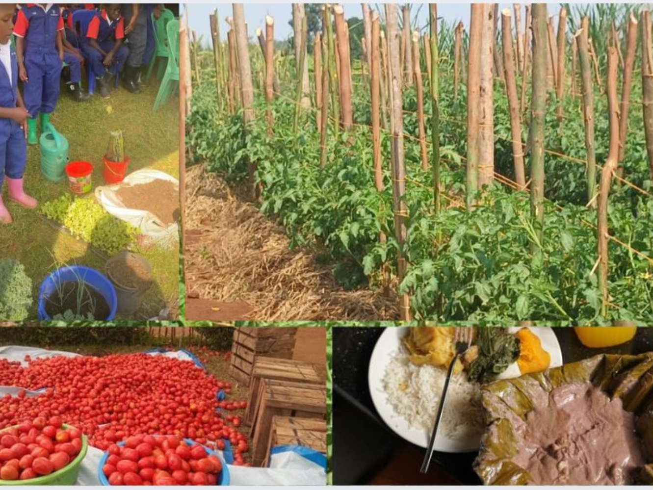 Culinary Tourism & Farm-to-Table Experiences